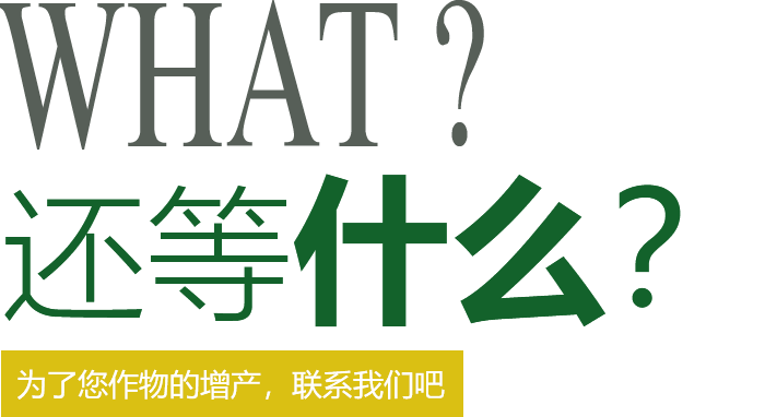 還在等什么？快來(lái)聯(lián)系我們吧